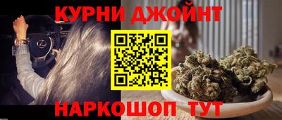 мяу мяу мука Гатчина