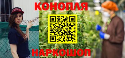 крисы Гай