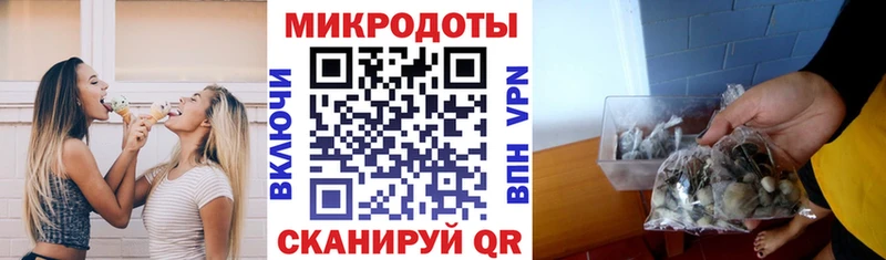 Галлюциногенные грибы GOLDEN TEACHER  Мурино 