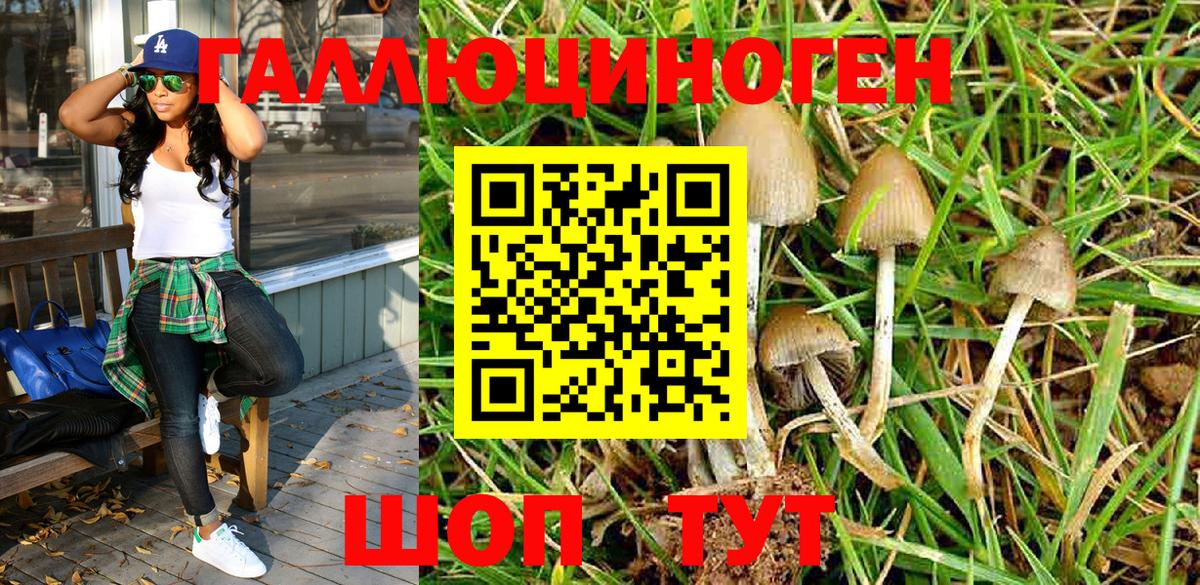 Мурино  сколько стоит  Галлюциногенные грибы Magic Shrooms  Вход с VPN  Псилоцибиновые грибы Magic Shrooms 